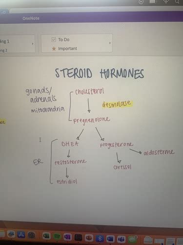 biochemistry chapter 8 quizlet|biochemistry exam 1 quizlet.